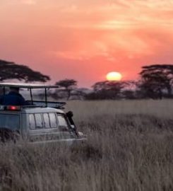 Foot Slopes Tanzania Private Guided Safari Tours
